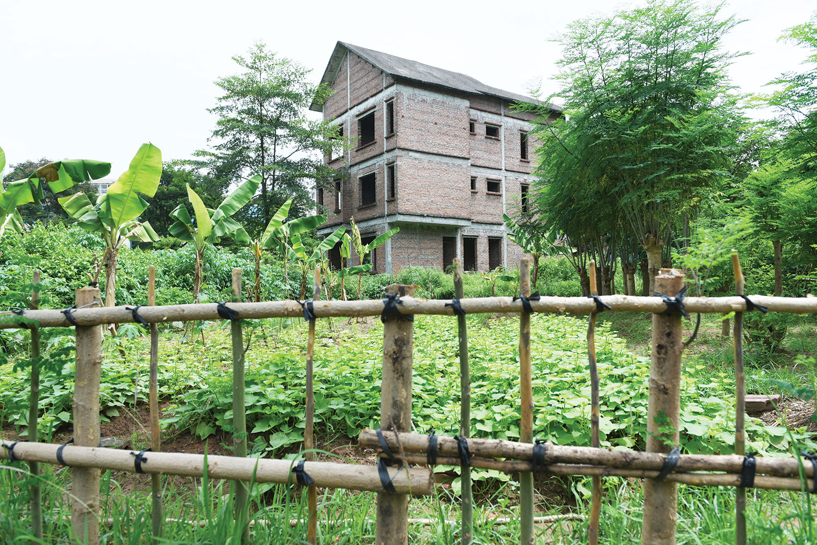 “Điểm sáng” đất nền phía Nam