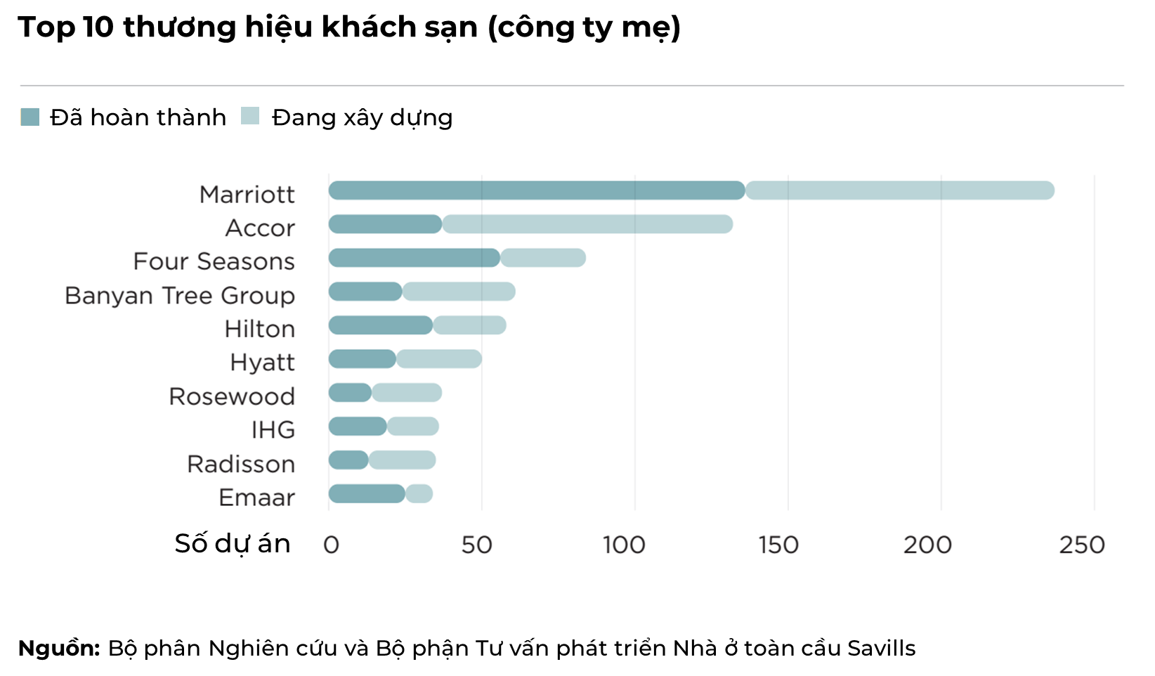  ảnh 1