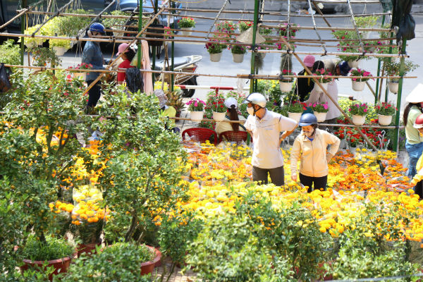 Giá hoa Tết rẻ, người Sài Gòn rủ nhau đi mua hoa sớm chơi Tết