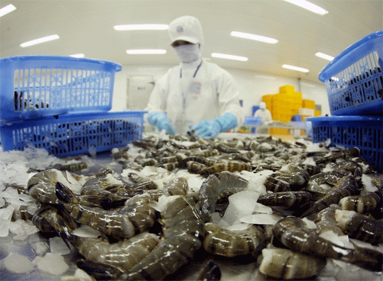 Mỹ chính thức tăng thuế chống bán phá giá tôm Việt lên 4,78%