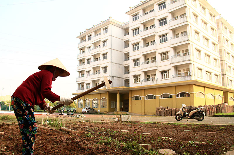 Hà Nội nêu vướng mắc trong thực hiện quy định quỹ đất 20% để phát triển nhà ở xã hội