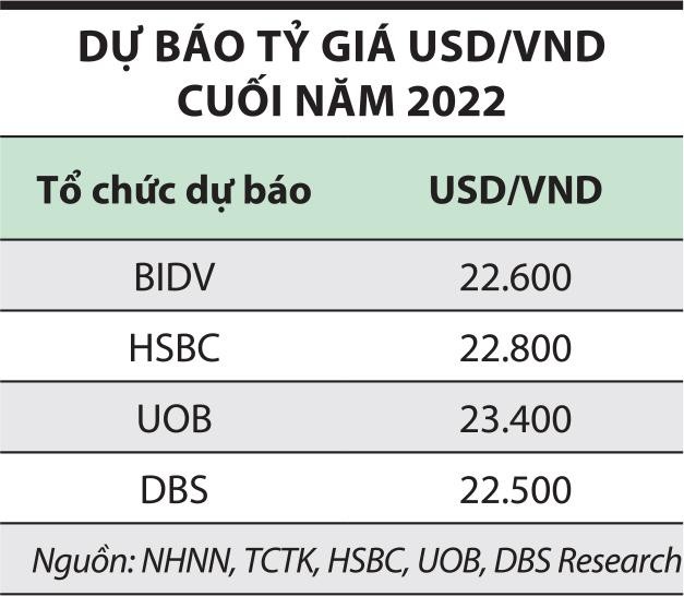 Tỷ giá USDVND dự báo sẽ duy trì trong khoảng 2290023300 cuối năm 2022