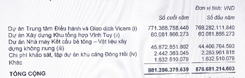 Điểm mặt những dự án đầu tư dang dở, “ngốn” hơn 881 tỷ đồng của Vicem ảnh 1