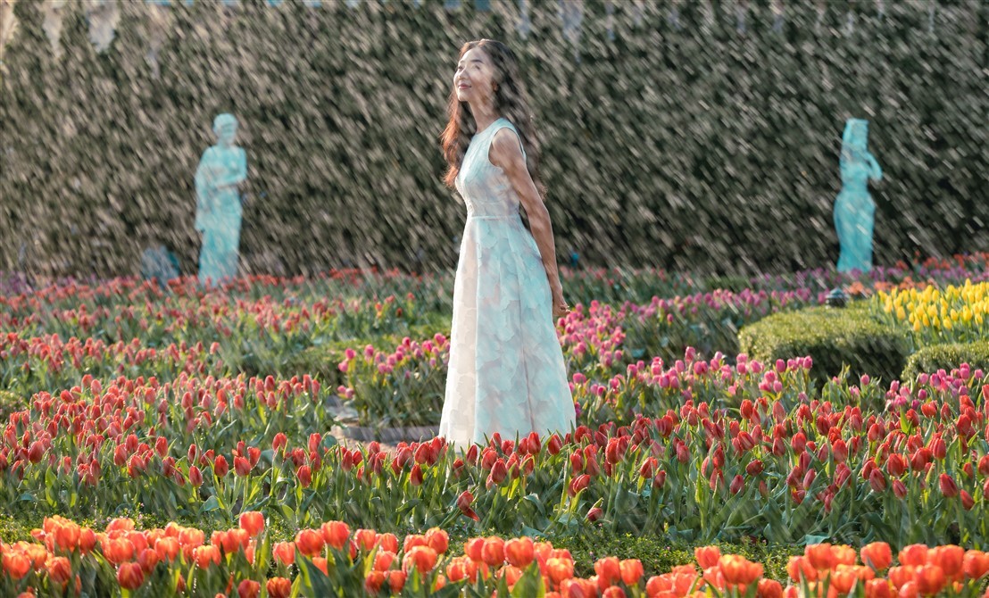 “Chị chị em em”, Tết này bếp núc làm chi, lên mà xem Bà Nà rực rỡ tulip với hoa hồng ảnh 2 “Chị chị em em”, Tết này bếp núc làm chi, lên mà xem Bà Nà rực rỡ tulip với hoa hồng ảnh 2