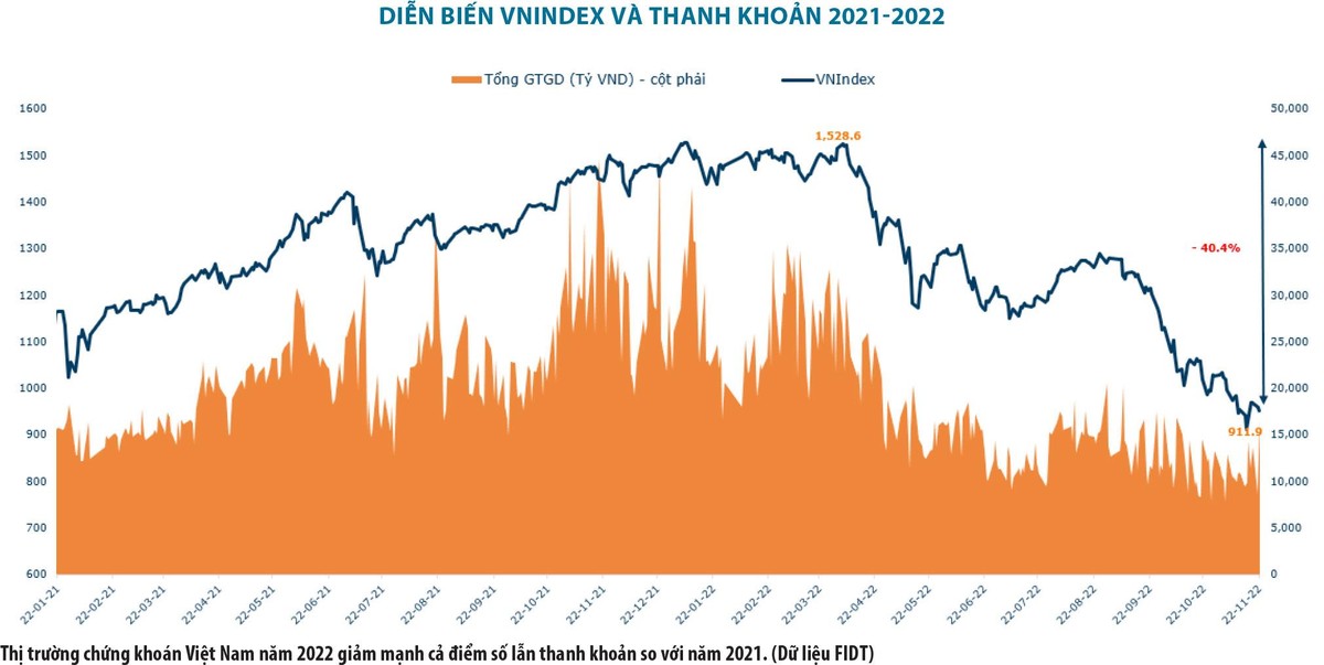 Những con số đáng chú ý của thị trường chứng khoán Việt Nam 2022 ảnh 1