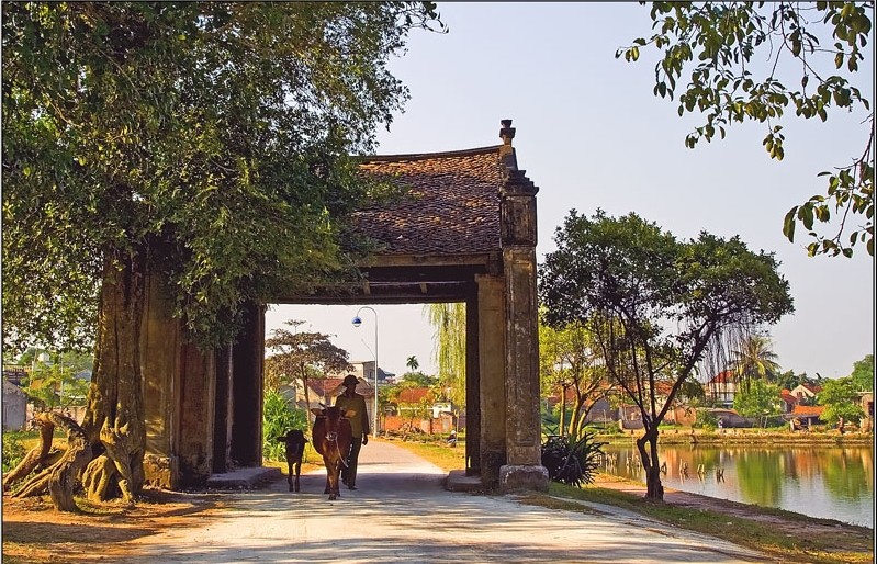 Một buổi sáng đẹp trên đất quê Việt Nam, bạn có muốn thưởng thức những hình ảnh tuyệt đẹp của Làng quê Việt Nam không? Hãy cùng chiêm ngưỡng những cảnh đẹp thanh bình của các làng xứ Việt, nơi mang lại cho bạn những giây phút bình yên trọn vẹn.