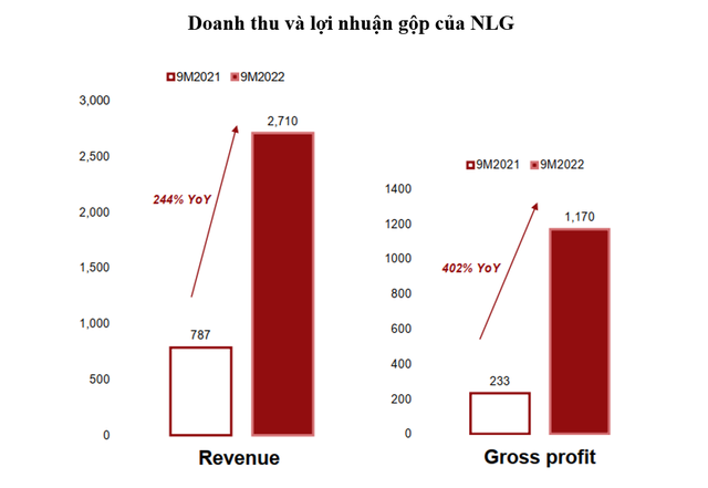 NLG: Sức khỏe tài chính tốt, doanh số bán hàng gần 10.000 tỷ đồng ảnh 1