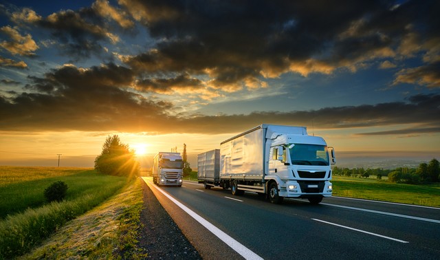 Ảnh: Shutterstock. ảnh 2