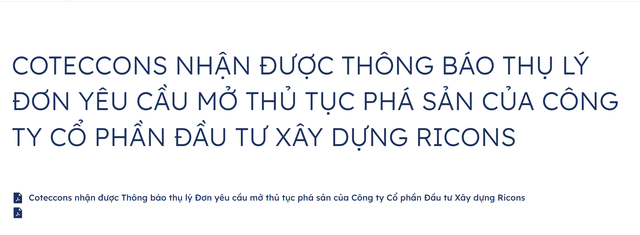Coteccons (CTD) phản hồi về yêu cầu mở thủ tục phá sản để đòi nợ của Ricons, tuyên bố sẵn sàng hợp tác giải quyết tranh chấp hợp đồng kinh tế ảnh 1