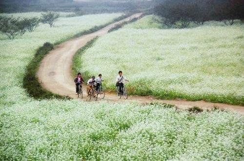 Nên đi đâu ngày 2/9 ? ảnh 4