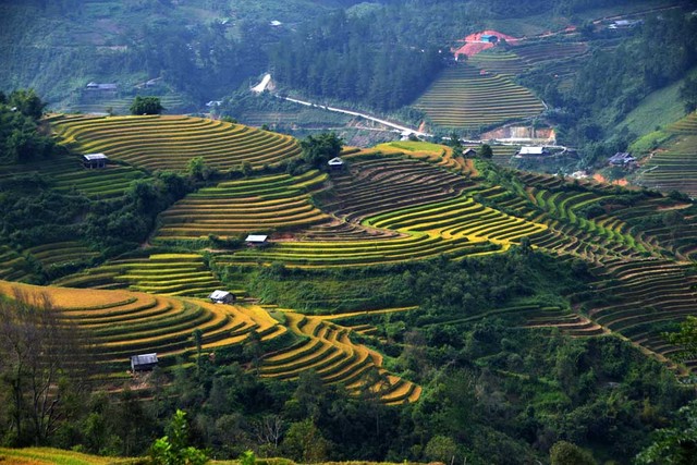 Thu sang, miền sơn cước Mù Cang Chải đẹp đến nao lòng ảnh 4