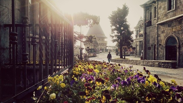 Sắc hoa rực rỡ tại Bà Nà Hills ảnh 5