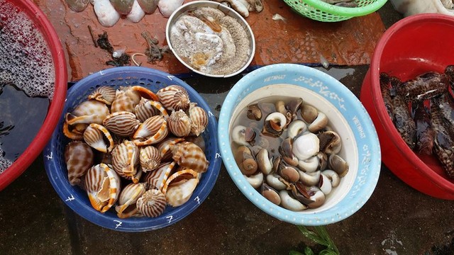 Chợ hải sản - Nét độc đáo của huyện đảo Cô Tô ảnh 3 Chợ hải sản - Nét độc đáo của huyện đảo Cô Tô ảnh 3