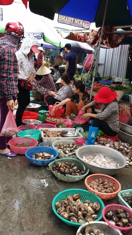 Chợ hải sản - Nét độc đáo của huyện đảo Cô Tô ảnh 4 Chợ hải sản - Nét độc đáo của huyện đảo Cô Tô ảnh 4