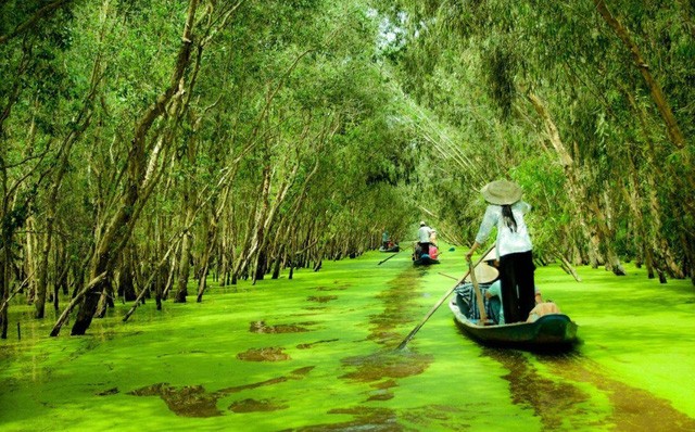 Những điểm đến lý tưởng ngắm miền Tây mùa nước nổi ảnh 1