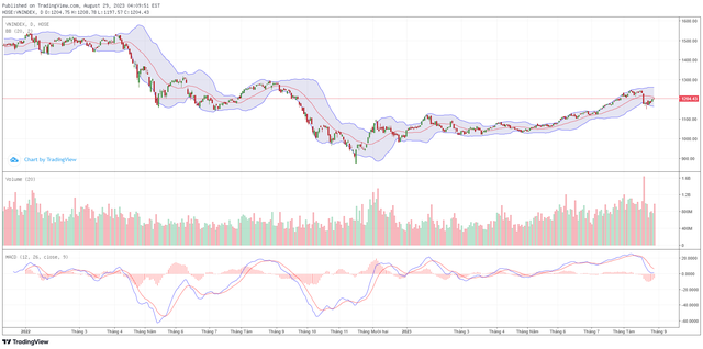 Góc nhìn kỹ thuật phiên giao dịch chứng khoán ngày 30/8: Chỉ số VN-Index đang trong nhịp phục hồi 4 Góc nhìn kỹ thuật phiên giao dịch chứng khoán ngày 30/8: Chỉ số VN-Index đang trong nhịp phục hồi ảnh 1