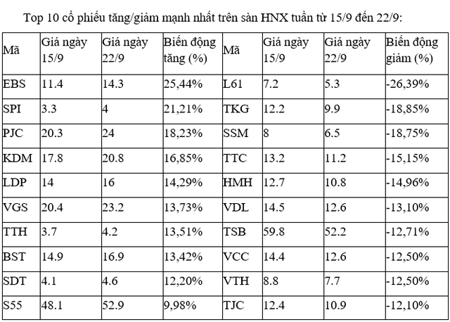 ảnh 2 top 10 hnx 8267