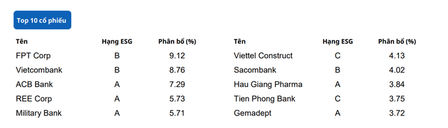 2 thách thức khi đầu tư ESG tại Việt Nam ảnh 1