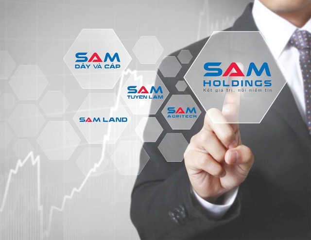 Vì sao các ông chủ Việt lại thích thú với mô hình holding? ảnh 1 Vì sao các ông chủ Việt lại thích thú với mô hình holding? ảnh 1