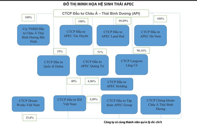 Đầu tư IDJ Việt Nam (IDJ): Hồn Trương Ba, da hàng thịt?  ảnh 1