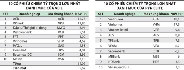 Quỹ đầu tư lỗ sâu, rục rịch tái cơ cấu ảnh 1