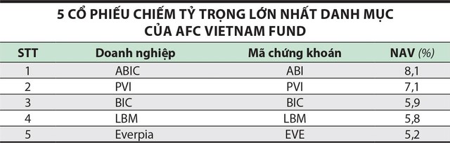 Quỹ đầu tư lỗ sâu, rục rịch tái cơ cấu ảnh 3