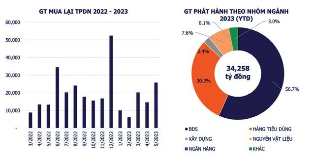 Thêm “đai an toàn” cho nhà đầu tư trái phiếu ảnh 1