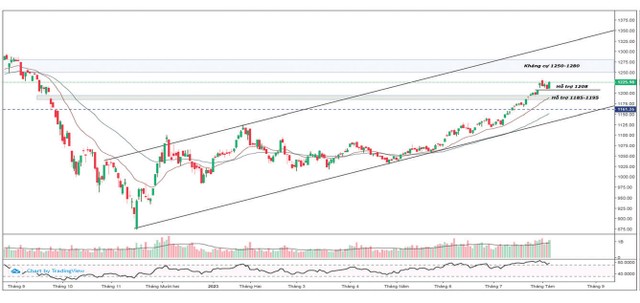 Rung lắc ngắn hạn 3 Rung lắc ngắn hạn ảnh 1