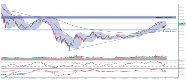 Hướng tới đỉnh cũ ảnh 1