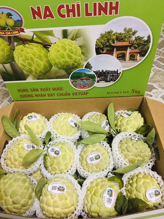 Sản phẩm OCOP nổi tiếng của thành phố Chí Linh.. ảnh 2