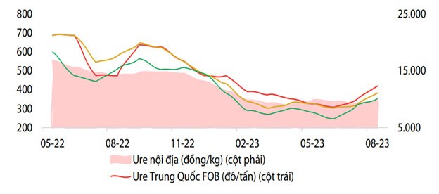 Tương quan giá urê nội địa và thế giới. Nguồn: Bloomberg, CTCK Rồng Việt. ảnh 1