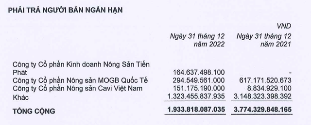 Quý IV/2022, BaF Việt Nam (BAF) thoát lỗ nhờ thanh lý, nhượng bán tài sản cố định ảnh 2