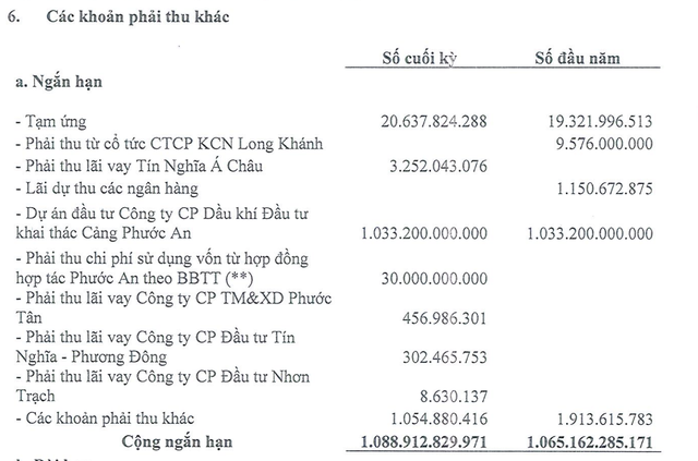Phát triển Khu công nghiệp Tín Nghĩa phát sinh phải thu 1.033,2 tỷ đồng với Cảng Phước An ảnh 1