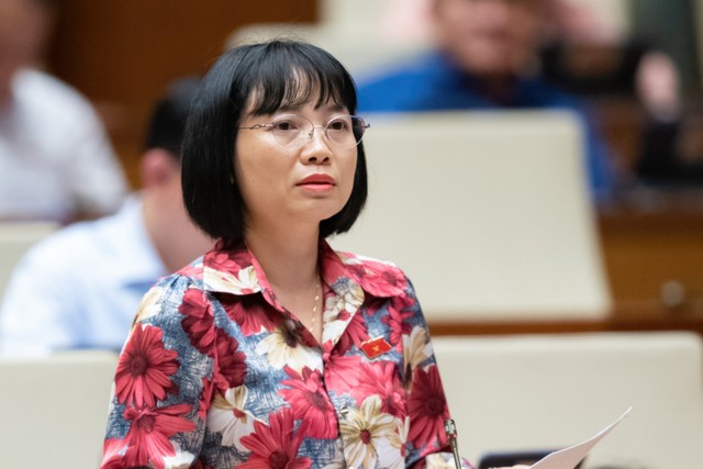 Đại biểu đề xuất giảm VAT cho tất cả doanh nghiệp đến hết năm 2024, Bộ trưởng Tài chính nói gì? ảnh 3