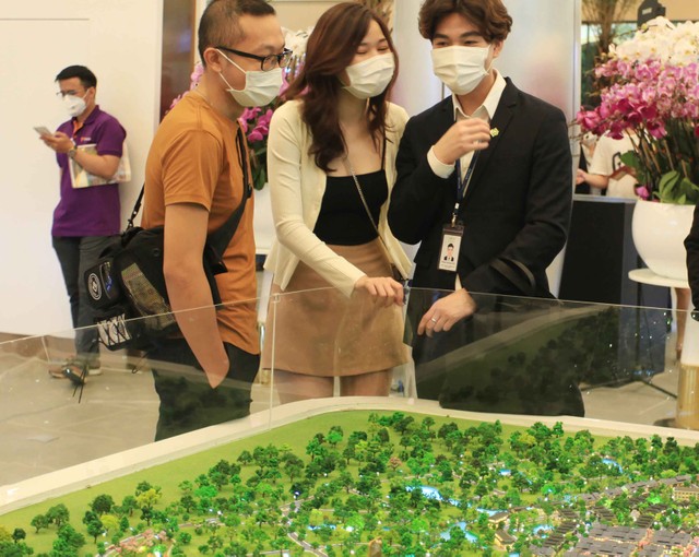 Kiên nhẫn với “cổ đất” 3 Kiên nhẫn với “cổ đất” ảnh 1