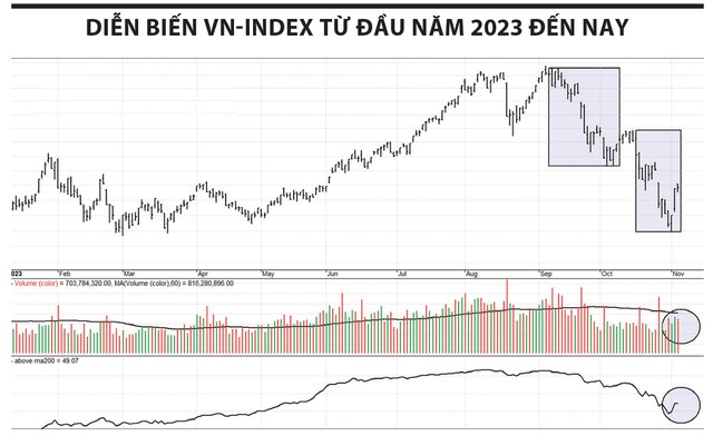 Việc chọn cổ phiếu cụ thể lúc này quan trọng hơn việc đoán kịch bản đáy VN-Index?