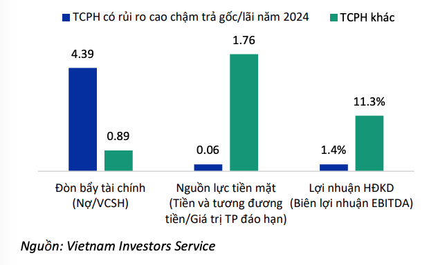 Các tổ chức phát hành có rủi ro cao trong năm 2024 đều có tình hình tài chính yếu kém hơn rất nhiều so với các tổ chức phát hành khác Các tổ chức phát hành có rủi ro cao trong năm 2024 đều có tình hình tài chính yếu kém hơn rất nhiều so với các tổ chức phát hành khác