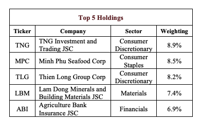 Top 5 cổ phiếu chiếm tỷ trọng lớn nhất danh mục đầu tư của AFC Vietnam Fund