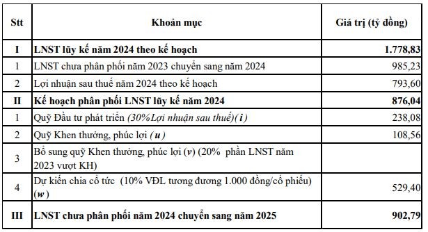 Kế hoạch phân phối lợi nhuận năm 2024