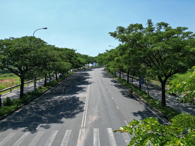 Những con đường trong khu Đại học Quốc gia TP.HCM cạnh Bcons City rợp bóng cây xanh.