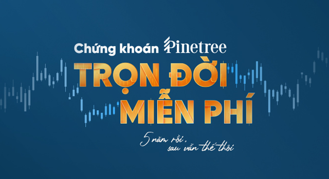 Vốn tiền tỷ, nhà đầu tư “cá mập” có yêu cầu như thế nào với công ty chứng khoán? 5 anh2 2067
