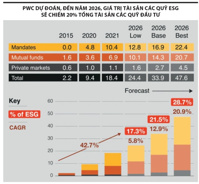 Định hình cuộc chơi mới 4 1 6443