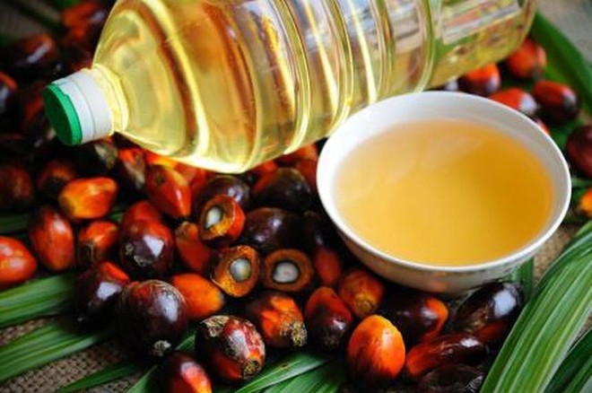 Lệnh cấm xuất khẩu dầu cọ của Indonesia làm nóng thị trường dầu thực vật | Tin nhanh chứng khoán