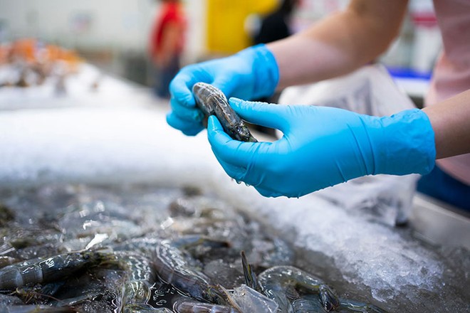 Vận chuyển hải sản hoả tốc nội địa từ 1kg 2023
