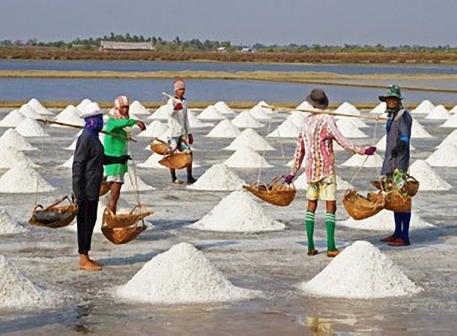Phân giao hạn ngạch nhập khẩu muối