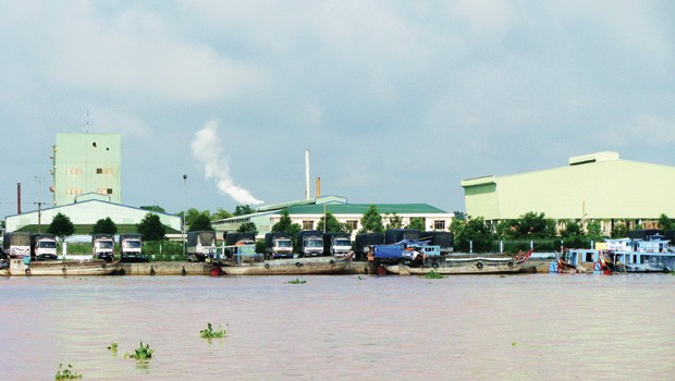 Đồng Tháp là tỉnh tập trung nhiều nhà máy chế biến thủy sản      