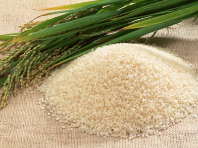 Thị trường gạo thế giới 2014: Sản lượng và dự trữ gia tăng