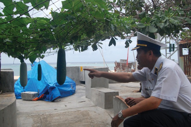 Chuẩn Đô đốc Đặng Minh Hải chỉ giàn bí ở đảo Sinh Tồn Đông bảo: những quả này sẽ để làm giống cho vụ sau
