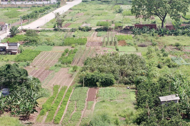 Nhiều khu đất đem ra đấu giá của Hà Nội bị dìm giá do hiện tượng “quân xanh, quân đỏ”