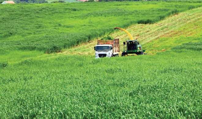 Với sự tham gia của nhiều doanh nghiệp lớn, Việt Nam đang hiện thực hóa giấc mơ cường quốc nông nghiệp